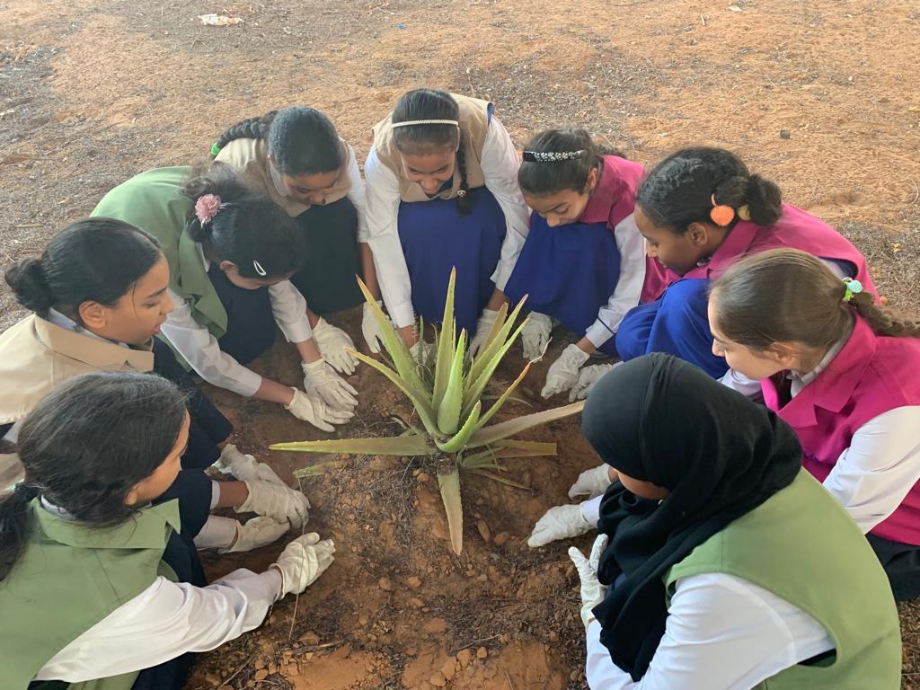 مساهمة الفرق الطالبة في مدرسة الشيخ سعود فرع 3 في زراعة البيئة المدرسية